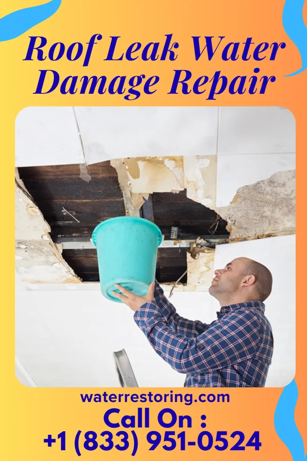 Roof Leak Water Damage Repair in Gayville, SD
